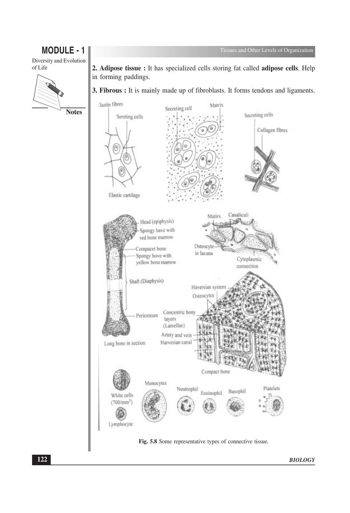 TS SCERT Inter 1st Year Biology Text Book Vol-I Path 1 (English Medium) Text Book - Page 216