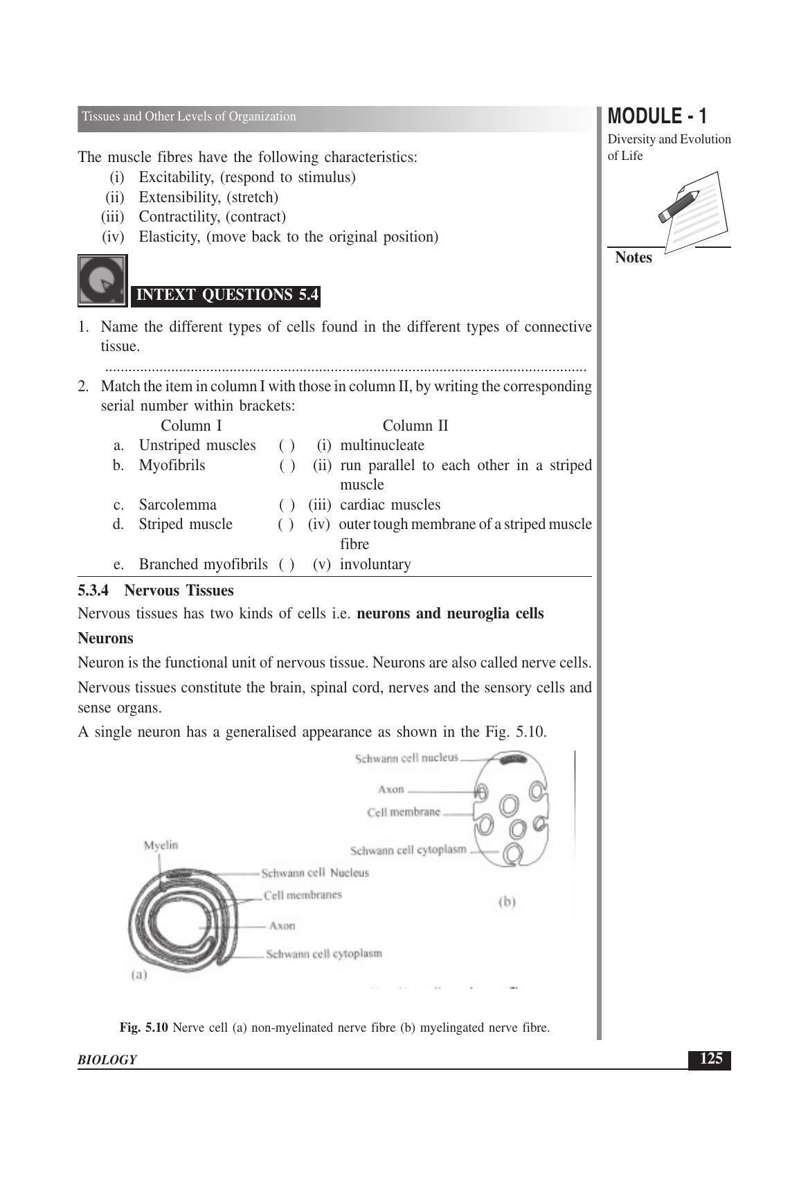 TS SCERT Inter 1st Year Biology Text Book Vol-I Path 1 (English Medium) Text Book - Page 219