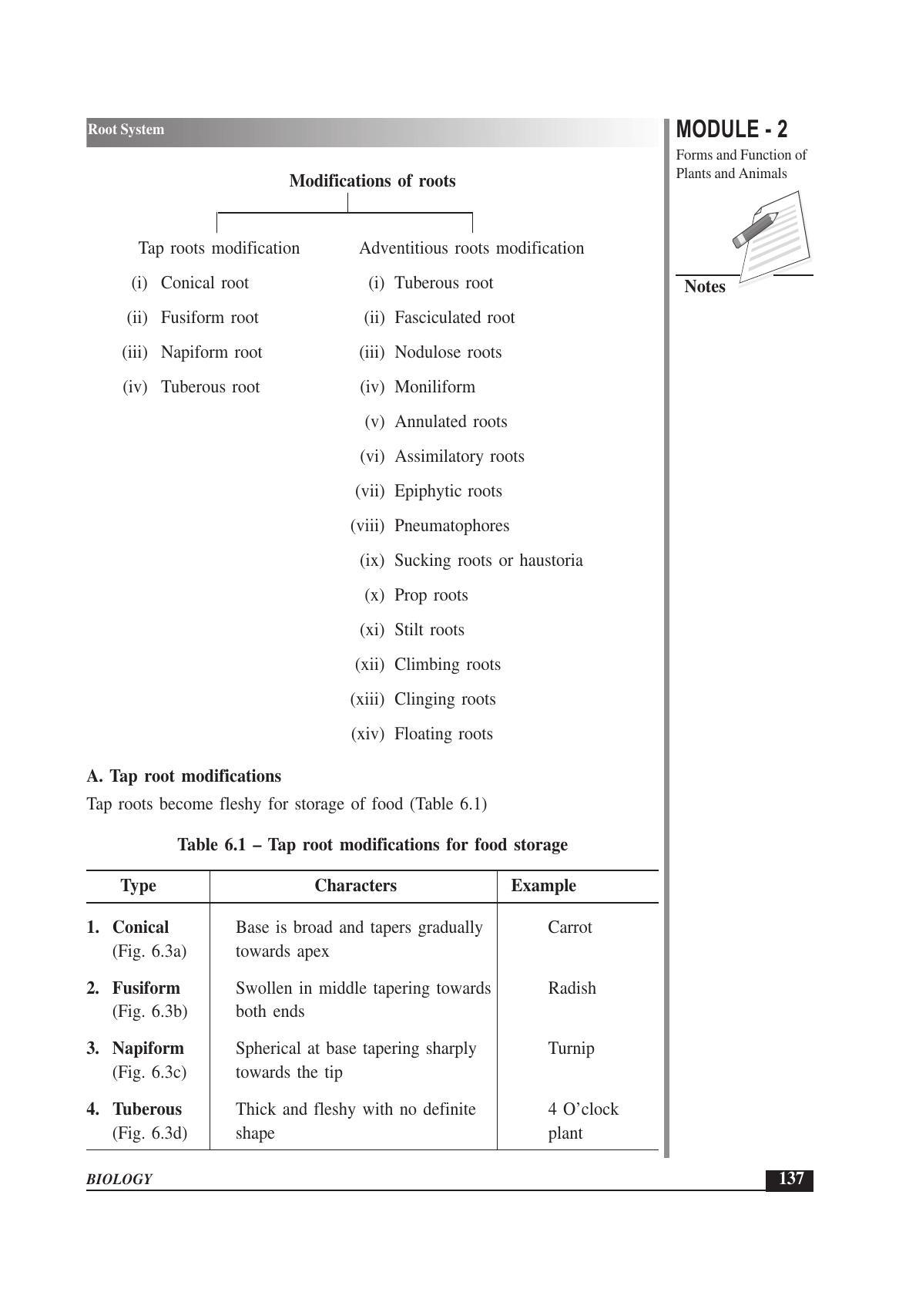 TS SCERT Inter 1st Year Biology Text Book Vol-I Path 1 (English Medium) Text Book - Page 231