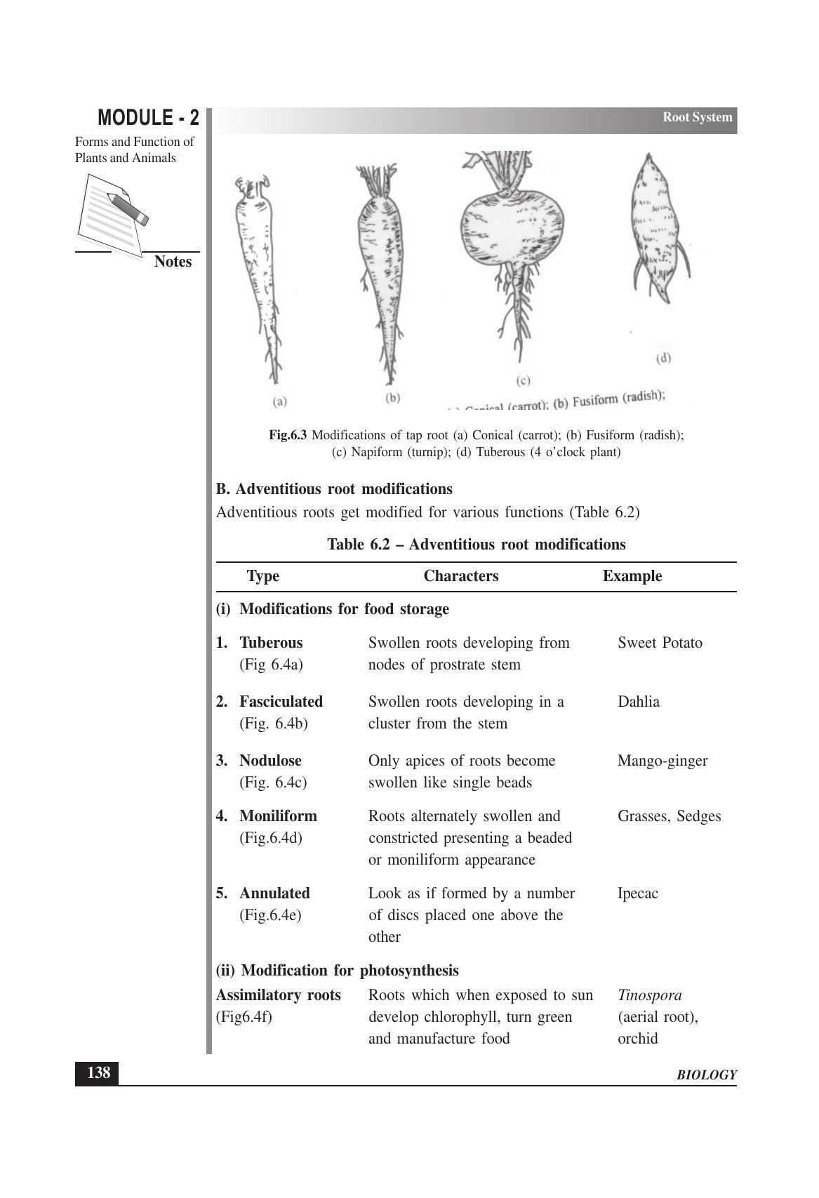 TS SCERT Inter 1st Year Biology Text Book Vol-I Path 1 (English Medium) Text Book - Page 232