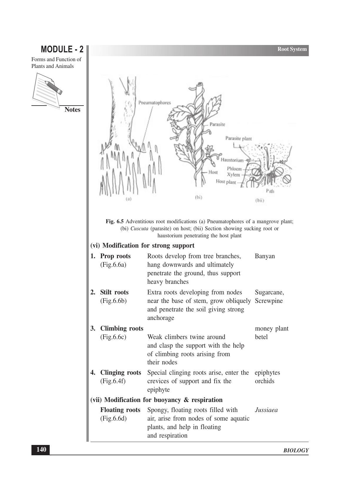 TS SCERT Inter 1st Year Biology Text Book Vol-I Path 1 (English Medium) Text Book - Page 234