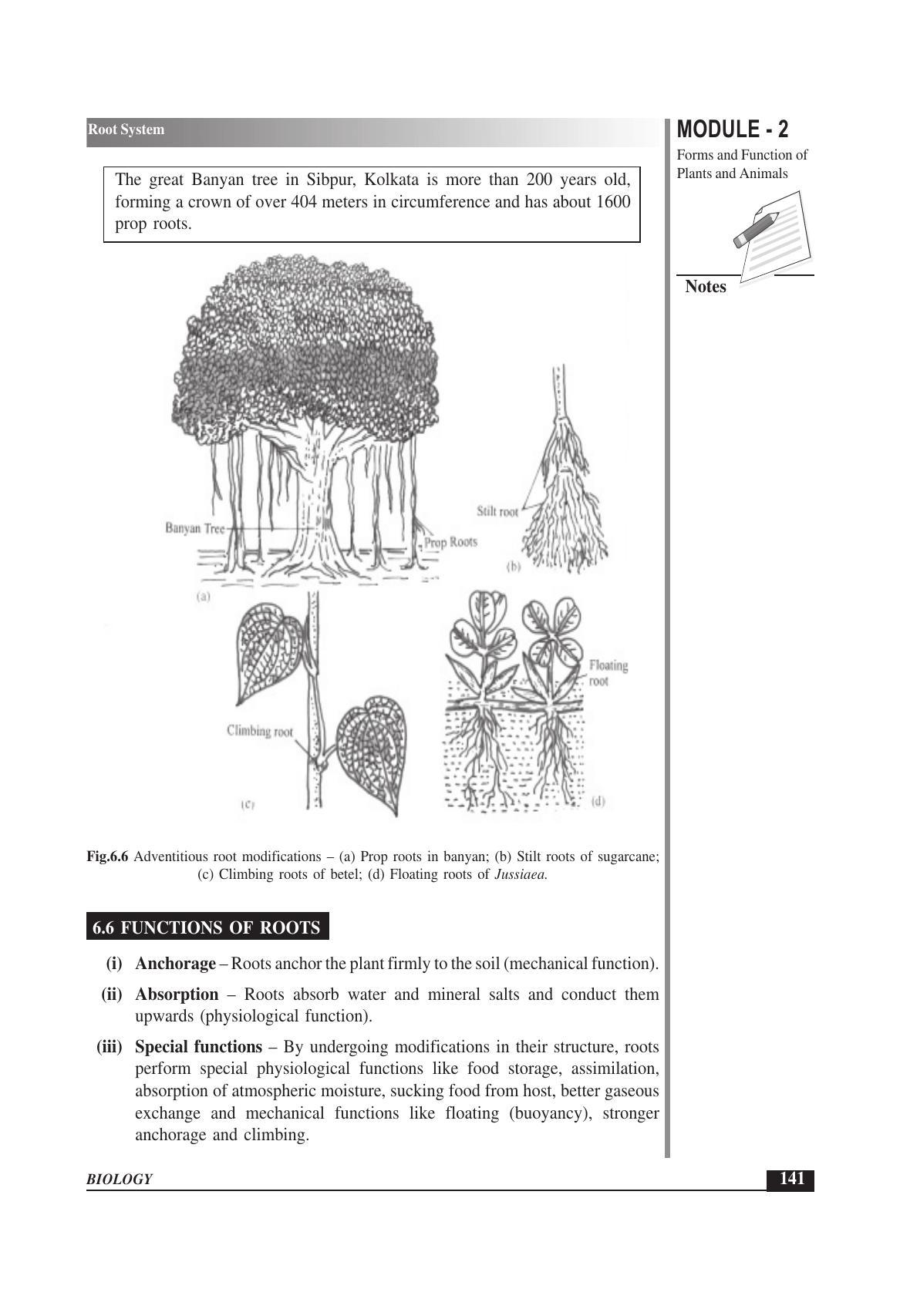 TS SCERT Inter 1st Year Biology Text Book Vol-I Path 1 (English Medium) Text Book - Page 235