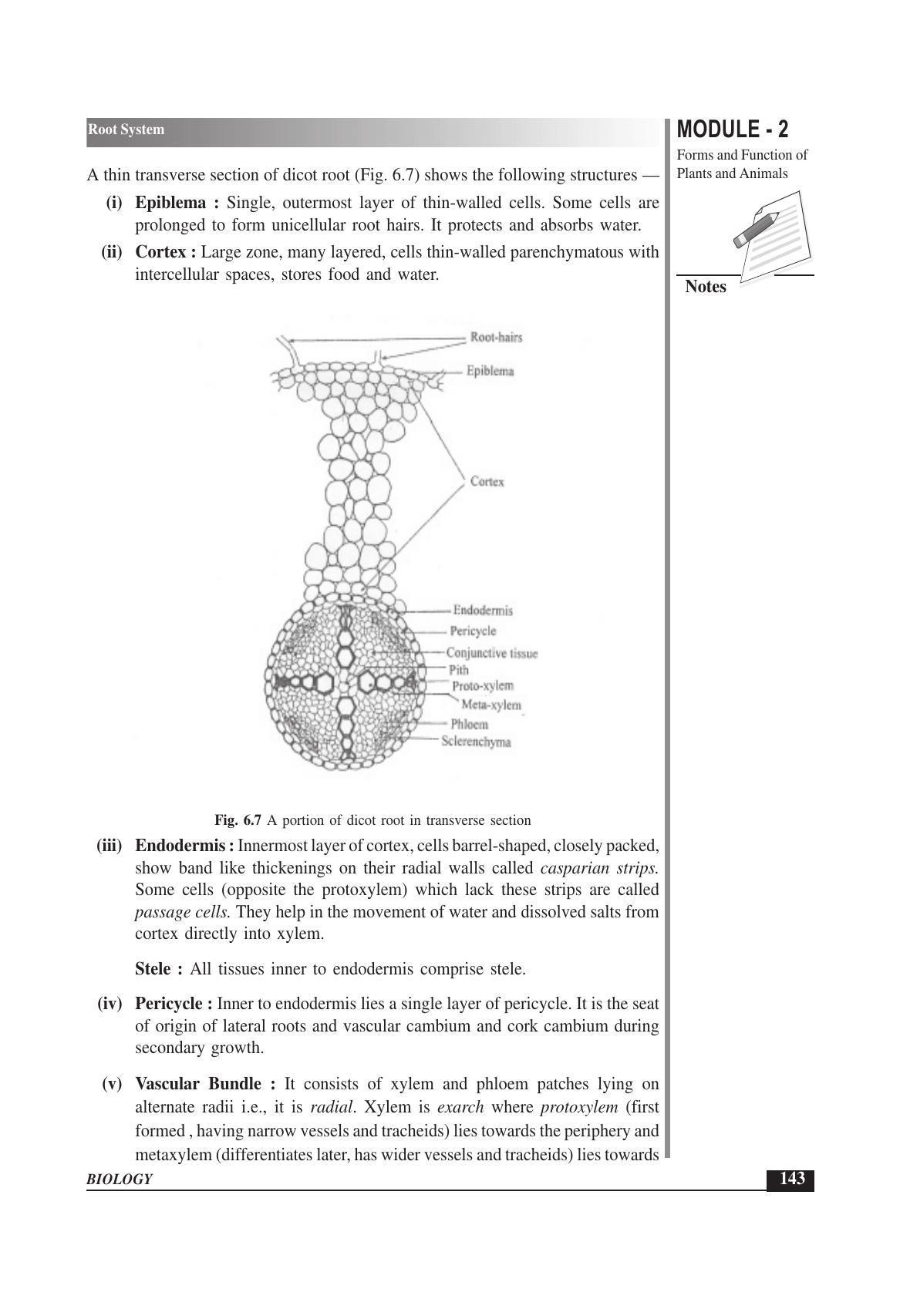 TS SCERT Inter 1st Year Biology Text Book Vol-I Path 1 (English Medium) Text Book - Page 237