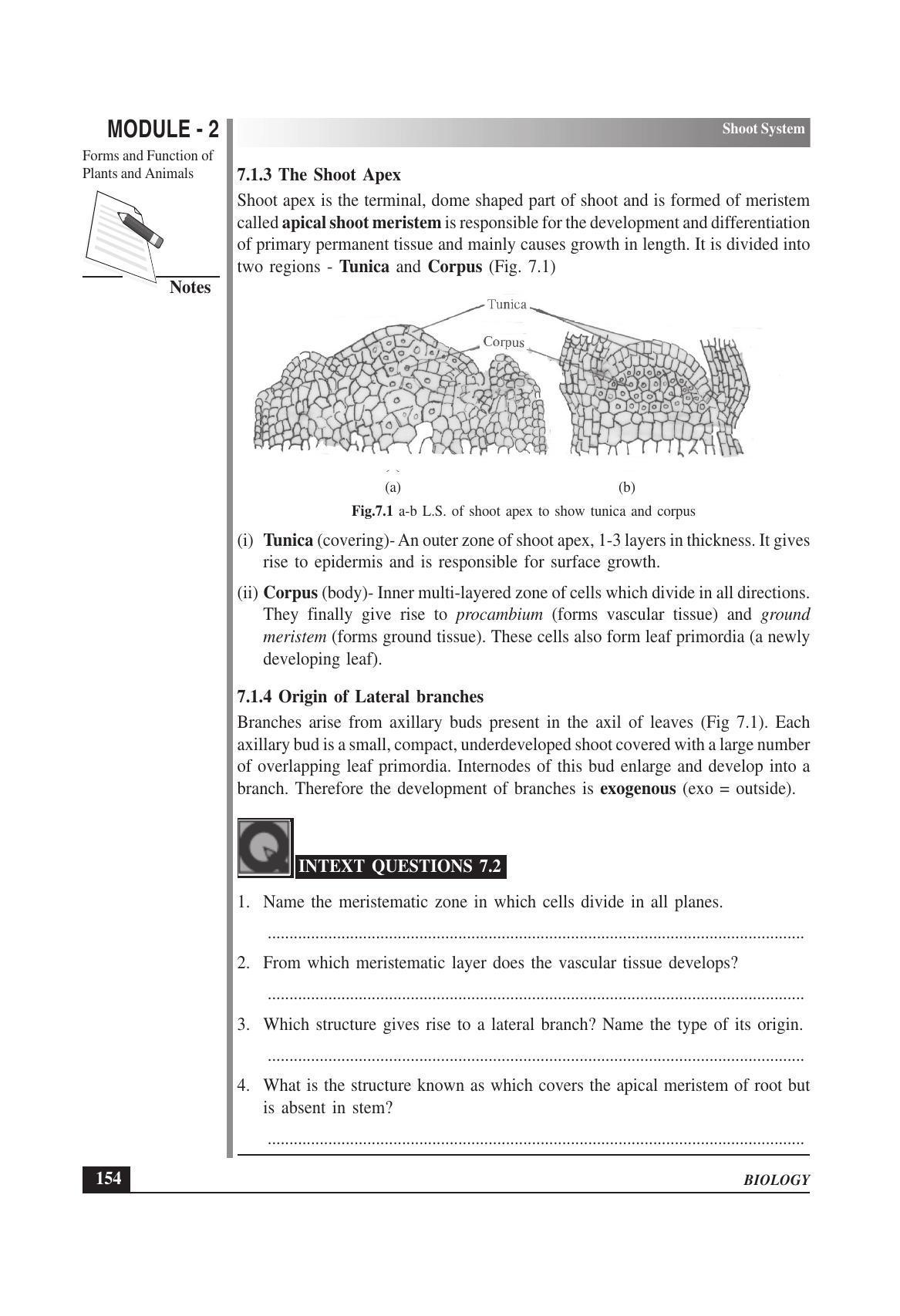 TS SCERT Inter 1st Year Biology Text Book Vol-I Path 1 (English Medium) Text Book - Page 248