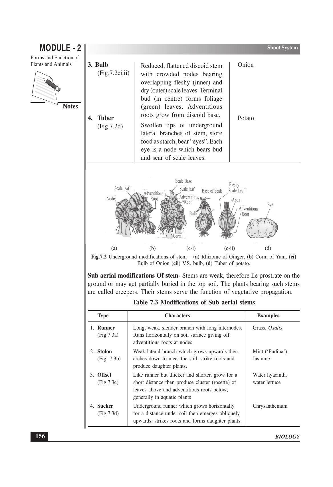 TS SCERT Inter 1st Year Biology Text Book Vol-I Path 1 (English Medium) Text Book - Page 250