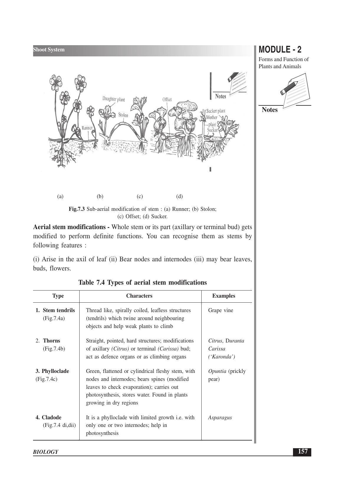 TS SCERT Inter 1st Year Biology Text Book Vol-I Path 1 (English Medium) Text Book - Page 251