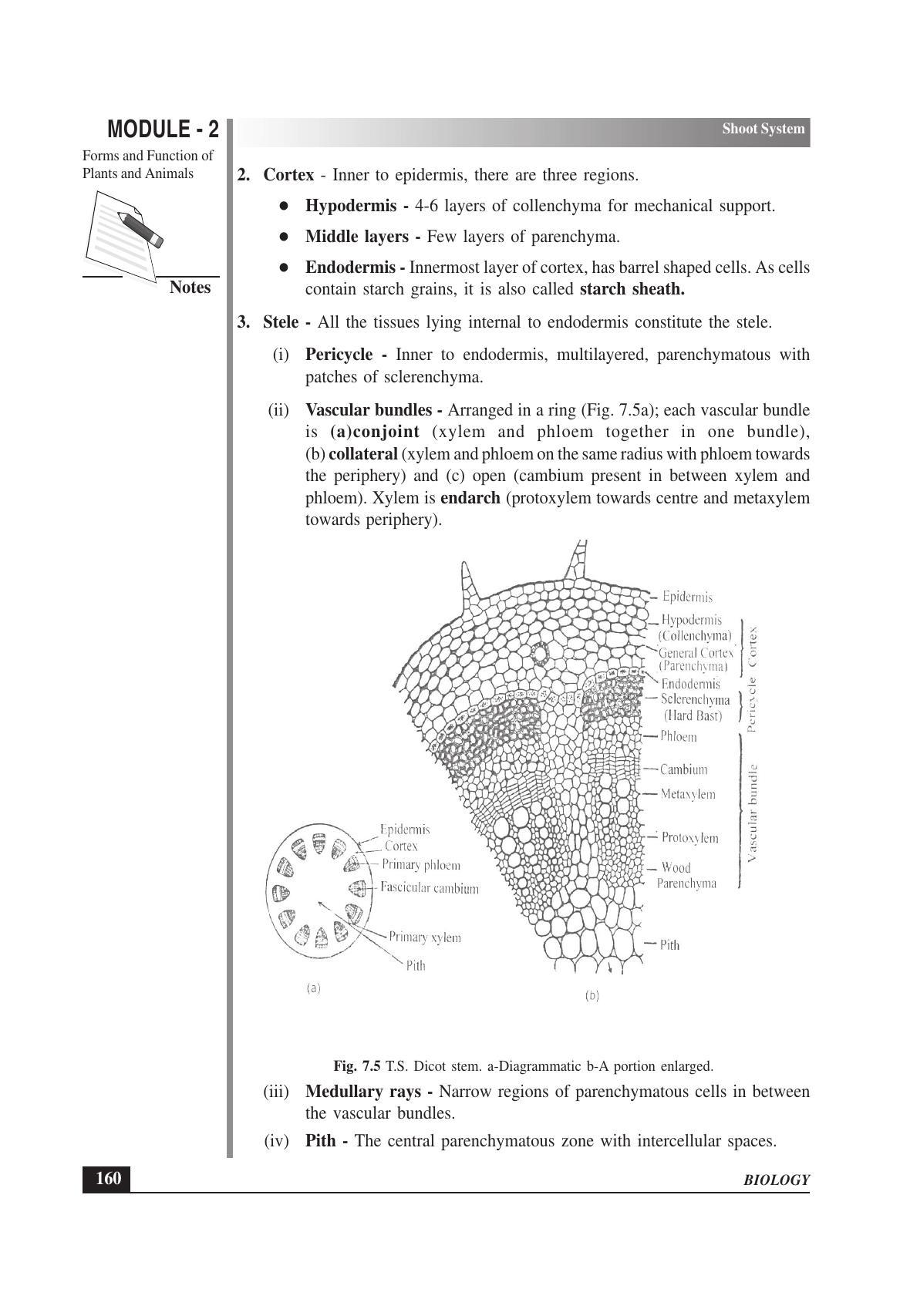 TS SCERT Inter 1st Year Biology Text Book Vol-I Path 1 (English Medium) Text Book - Page 254