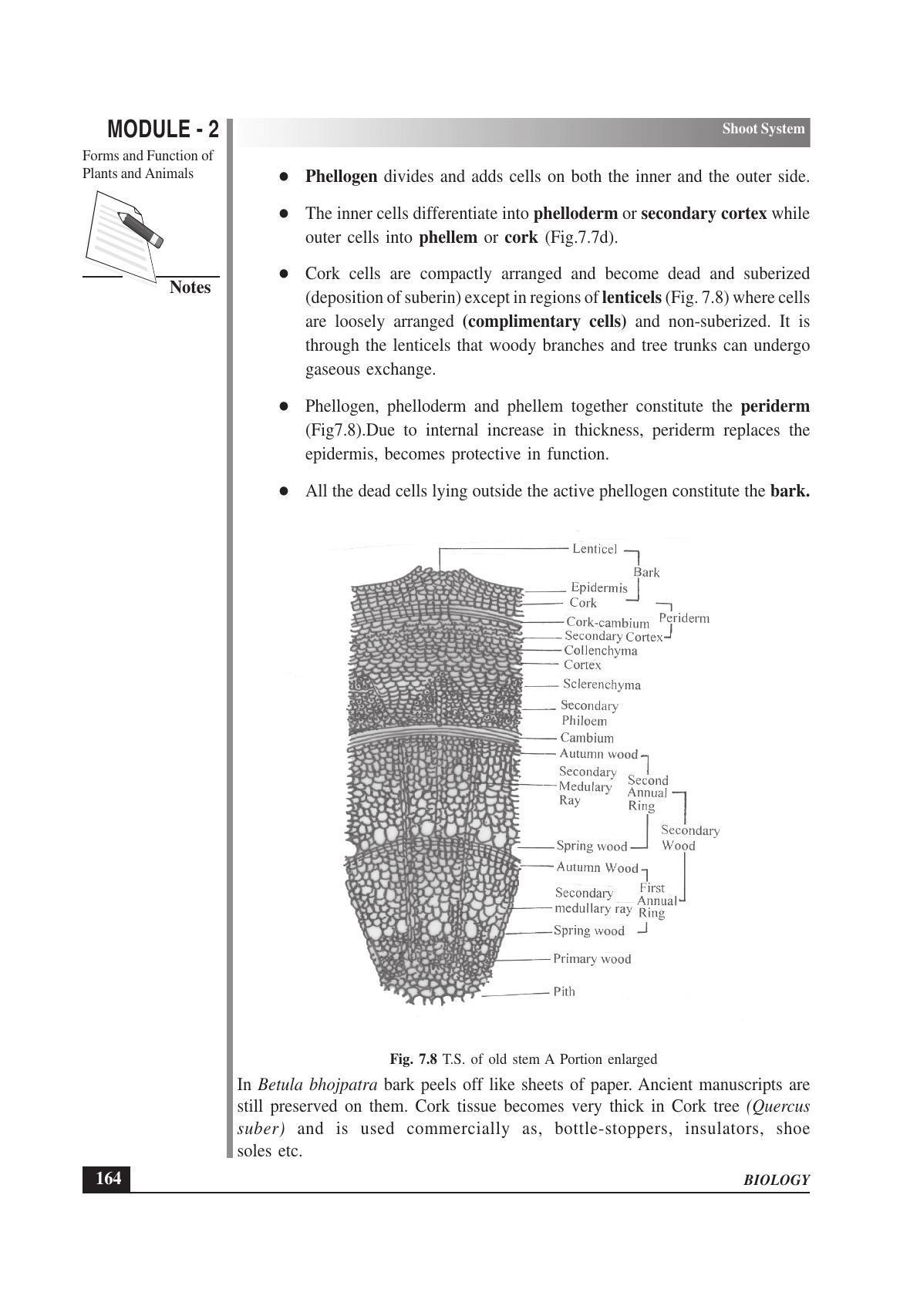 TS SCERT Inter 1st Year Biology Text Book Vol-I Path 1 (English Medium) Text Book - Page 258