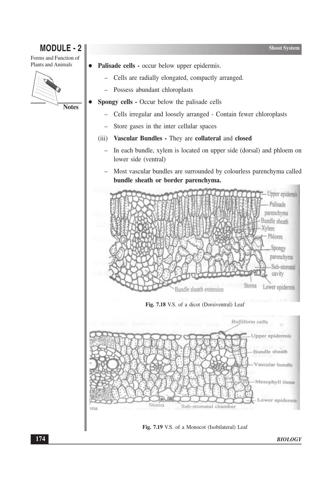 TS SCERT Inter 1st Year Biology Text Book Vol-I Path 1 (English Medium) Text Book - Page 268