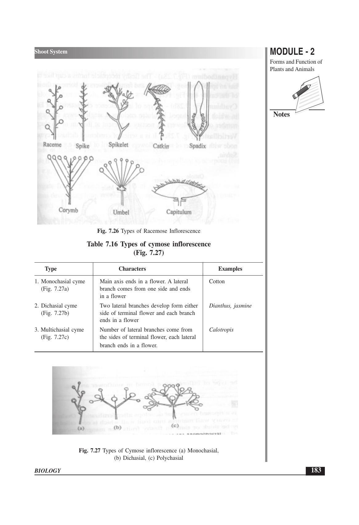 TS SCERT Inter 1st Year Biology Text Book Vol-I Path 1 (English Medium) Text Book - Page 277