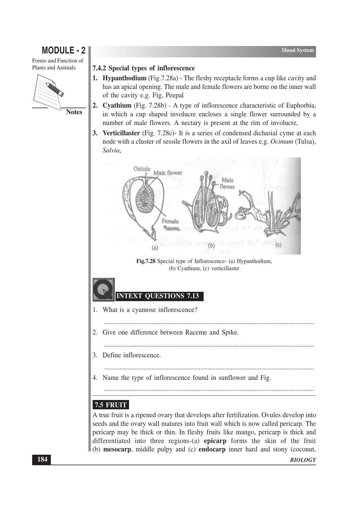 TS SCERT Inter 1st Year Biology Text Book Vol-I Path 1 (English Medium) Text Book - Page 278