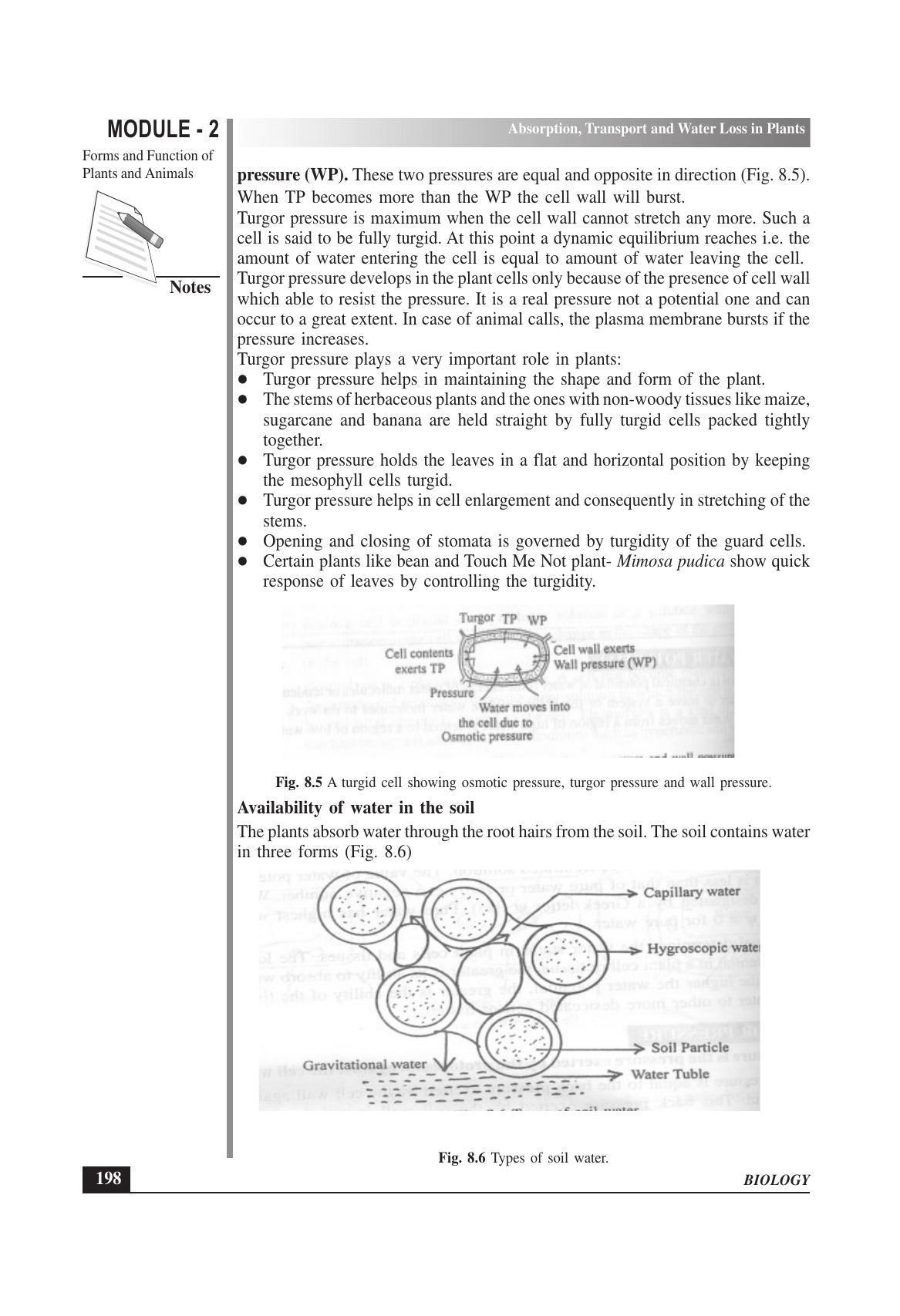 TS SCERT Inter 1st Year Biology Text Book Vol-I Path 1 (English Medium) Text Book - Page 292