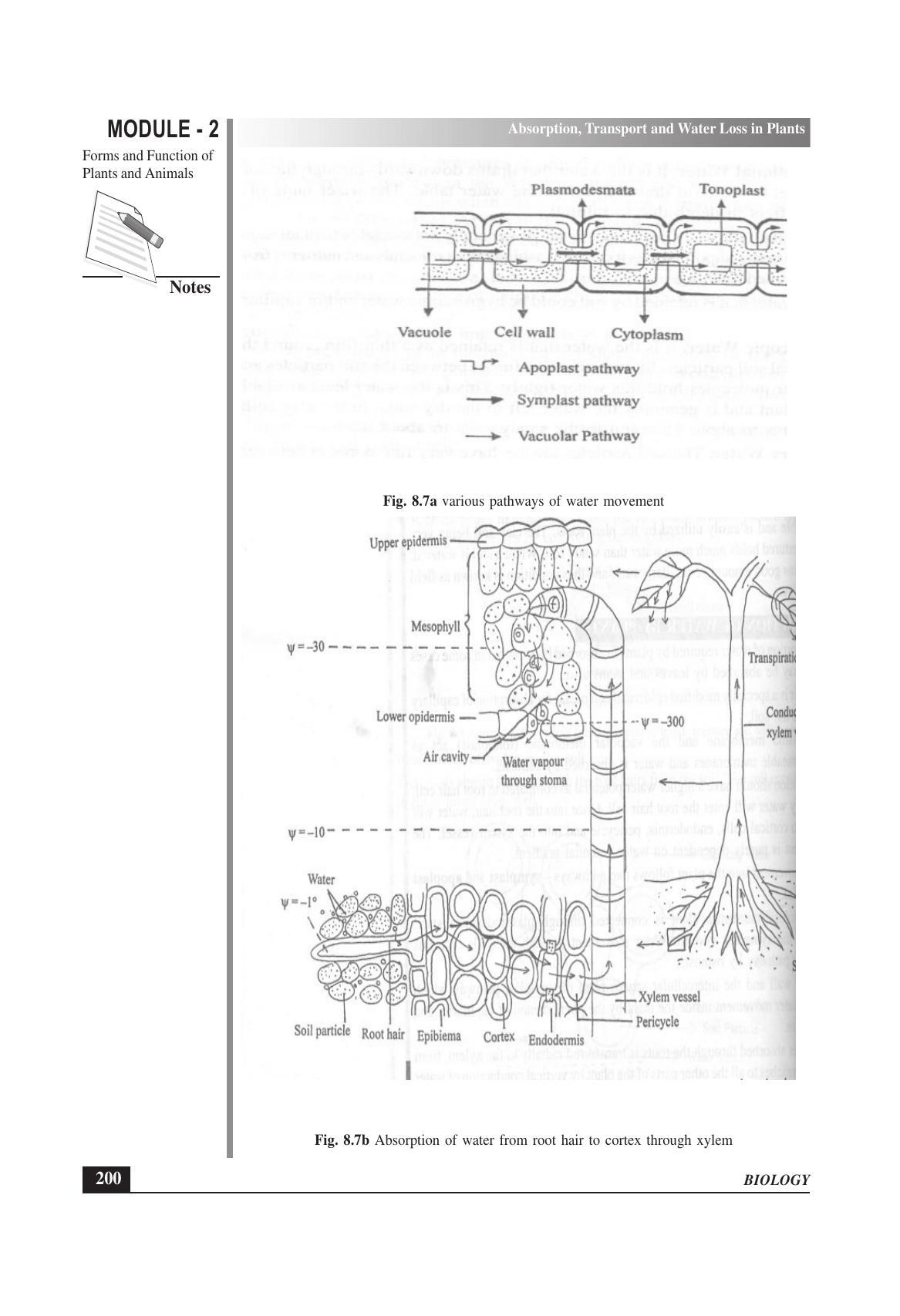 TS SCERT Inter 1st Year Biology Text Book Vol-I Path 1 (English Medium) Text Book - Page 294