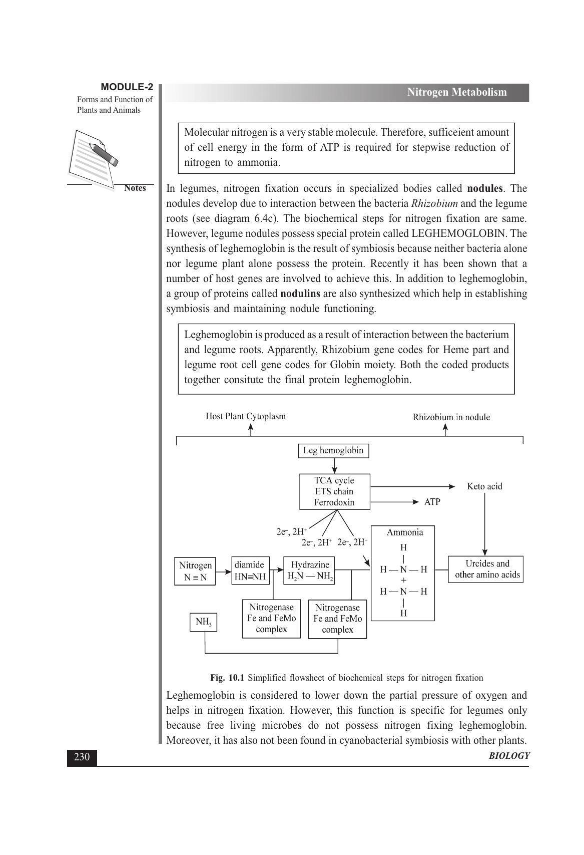 TS SCERT Inter 1st Year Biology Text Book Vol-I Path 1 (English Medium) Text Book - Page 324