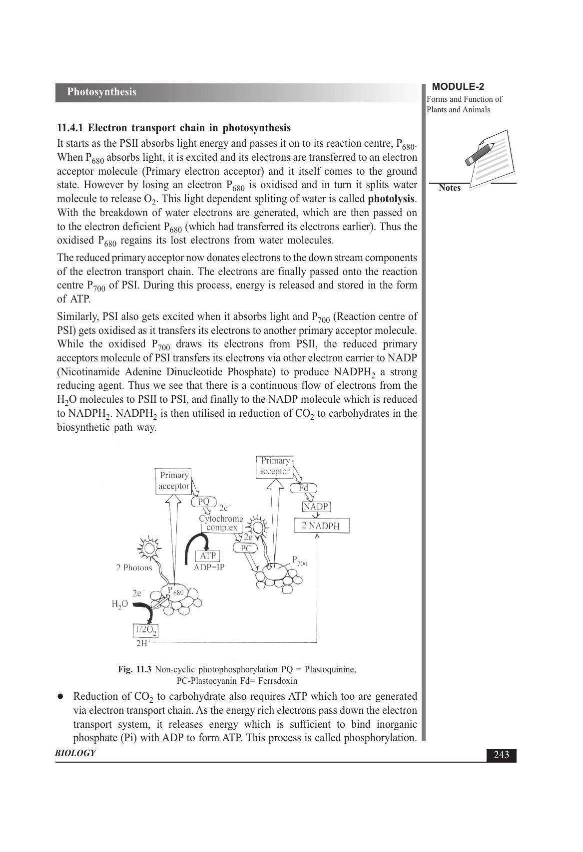 TS SCERT Inter 1st Year Biology Text Book Vol-I Path 1 (English Medium) Text Book - Page 337