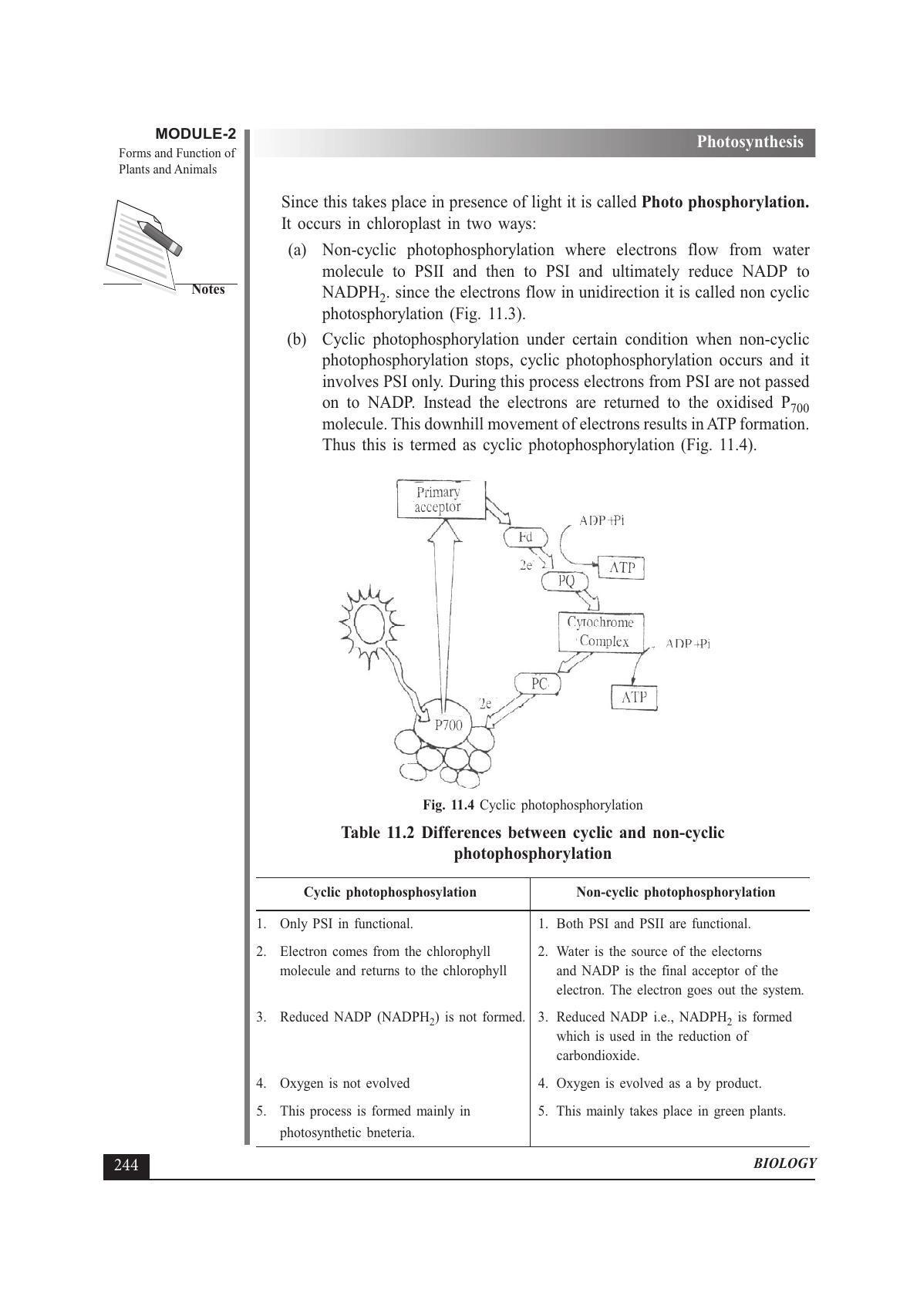 TS SCERT Inter 1st Year Biology Text Book Vol-I Path 1 (English Medium) Text Book - Page 338