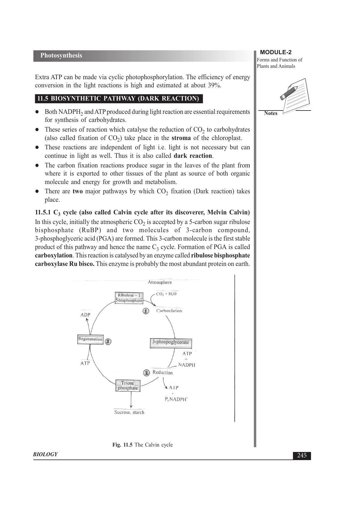 TS SCERT Inter 1st Year Biology Text Book Vol-I Path 1 (English Medium) Text Book - Page 339