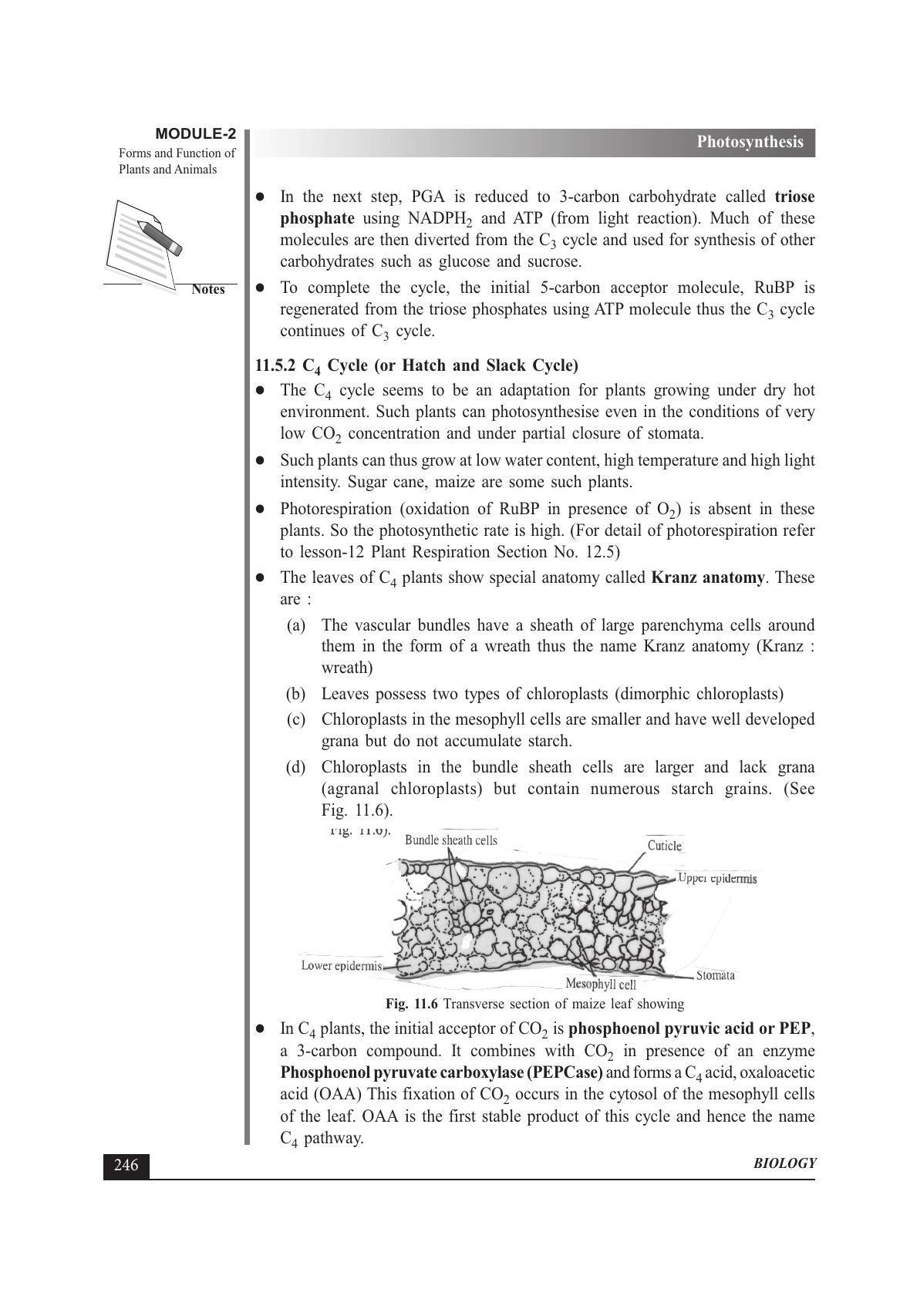 TS SCERT Inter 1st Year Biology Text Book Vol-I Path 1 (English Medium) Text Book - Page 340