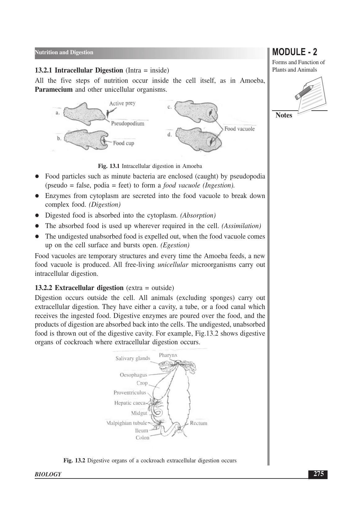 TS SCERT Inter 1st Year Biology Text Book Vol-I Path 1 (English Medium) Text Book - Page 369