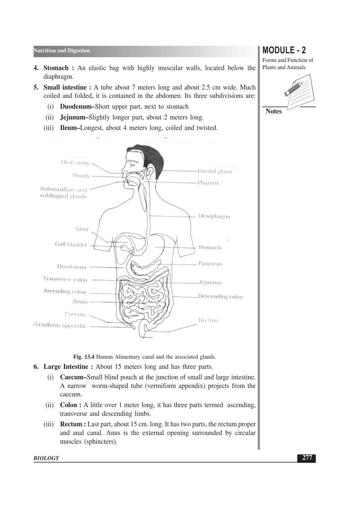 TS SCERT Inter 1st Year Biology Text Book Vol-I Path 1 (English Medium) Text Book - Page 371