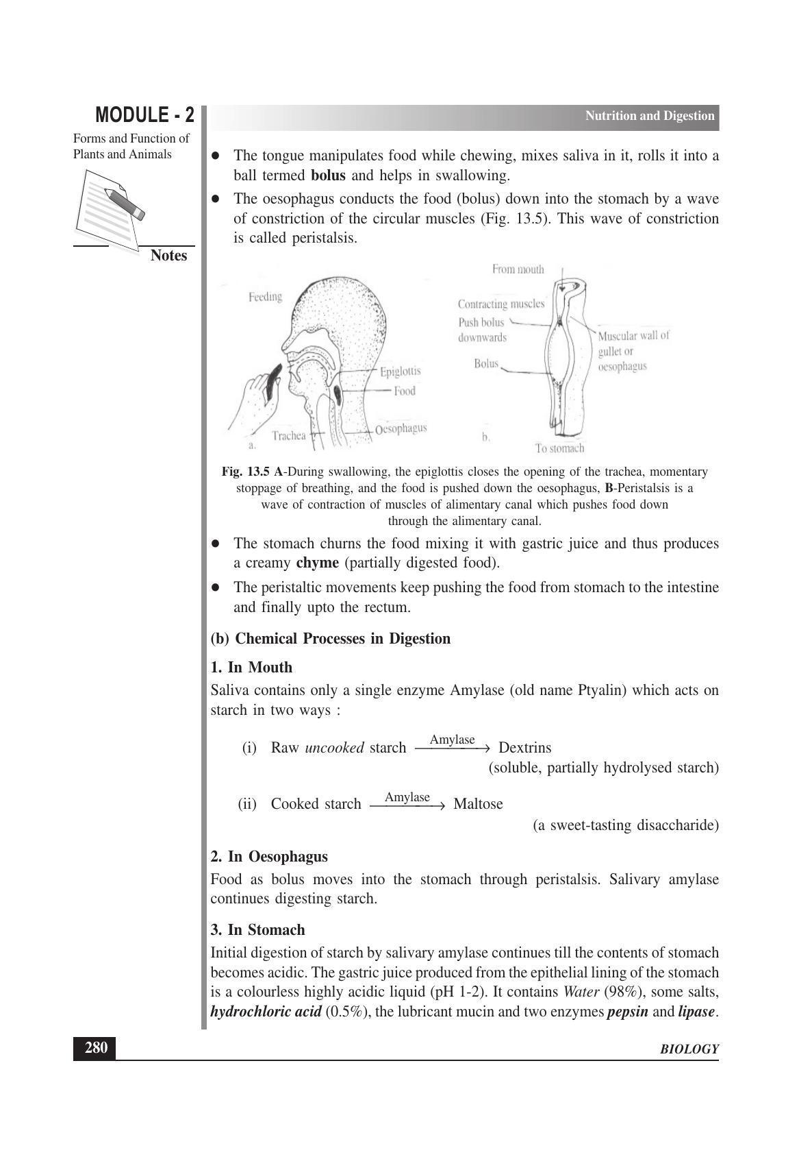 TS SCERT Inter 1st Year Biology Text Book Vol-I Path 1 (English Medium) Text Book - Page 374