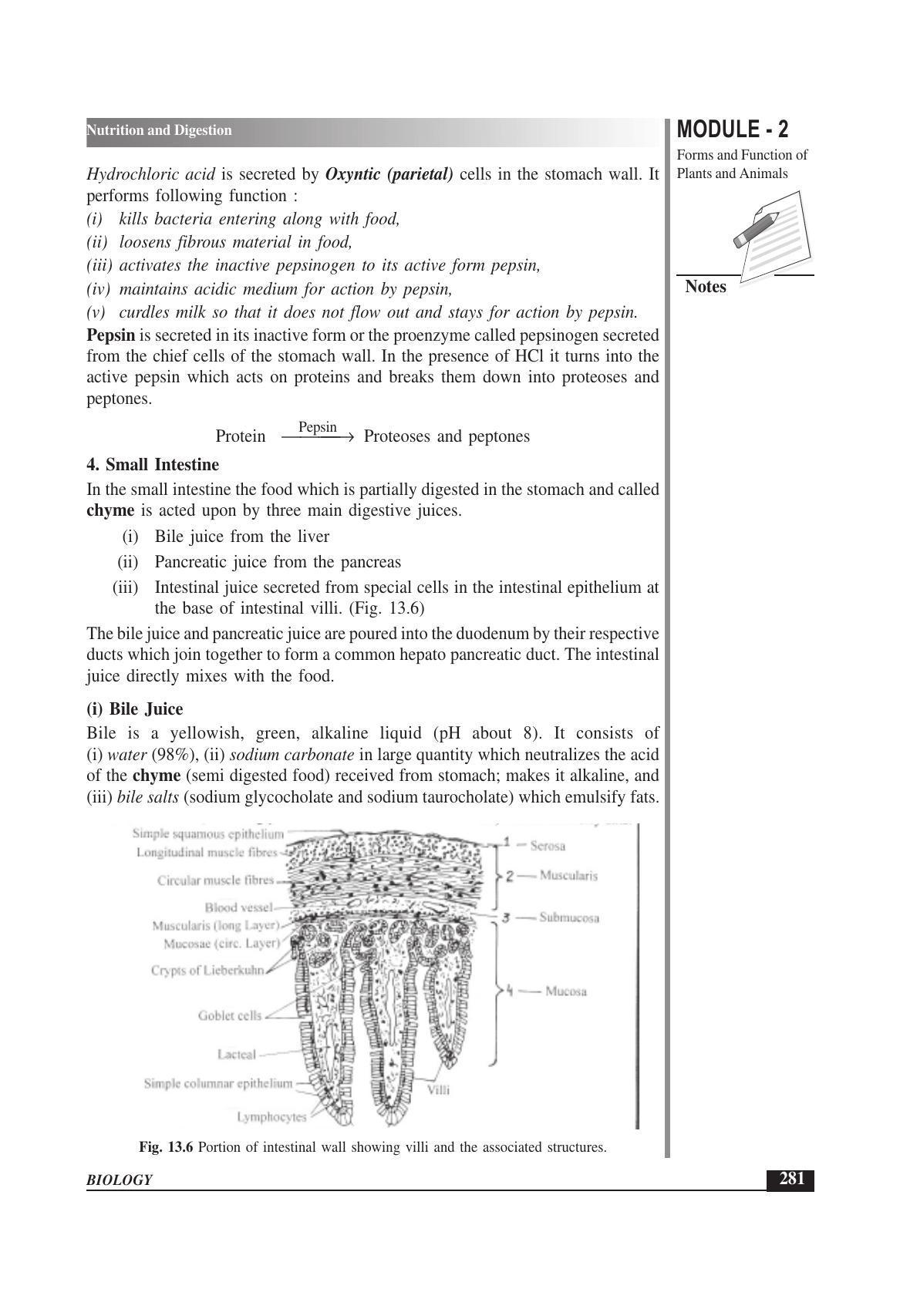 TS SCERT Inter 1st Year Biology Text Book Vol-I Path 1 (English Medium) Text Book - Page 375
