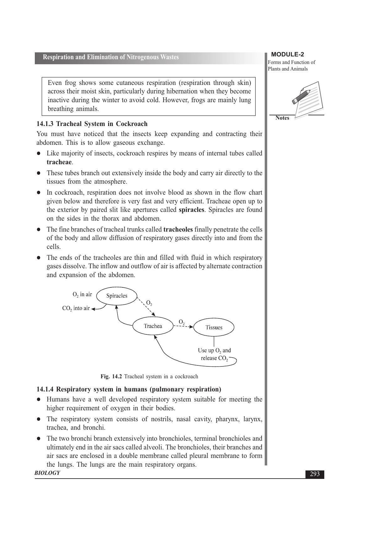 TS SCERT Inter 1st Year Biology Text Book Vol-I Path 1 (English Medium) Text Book - Page 387
