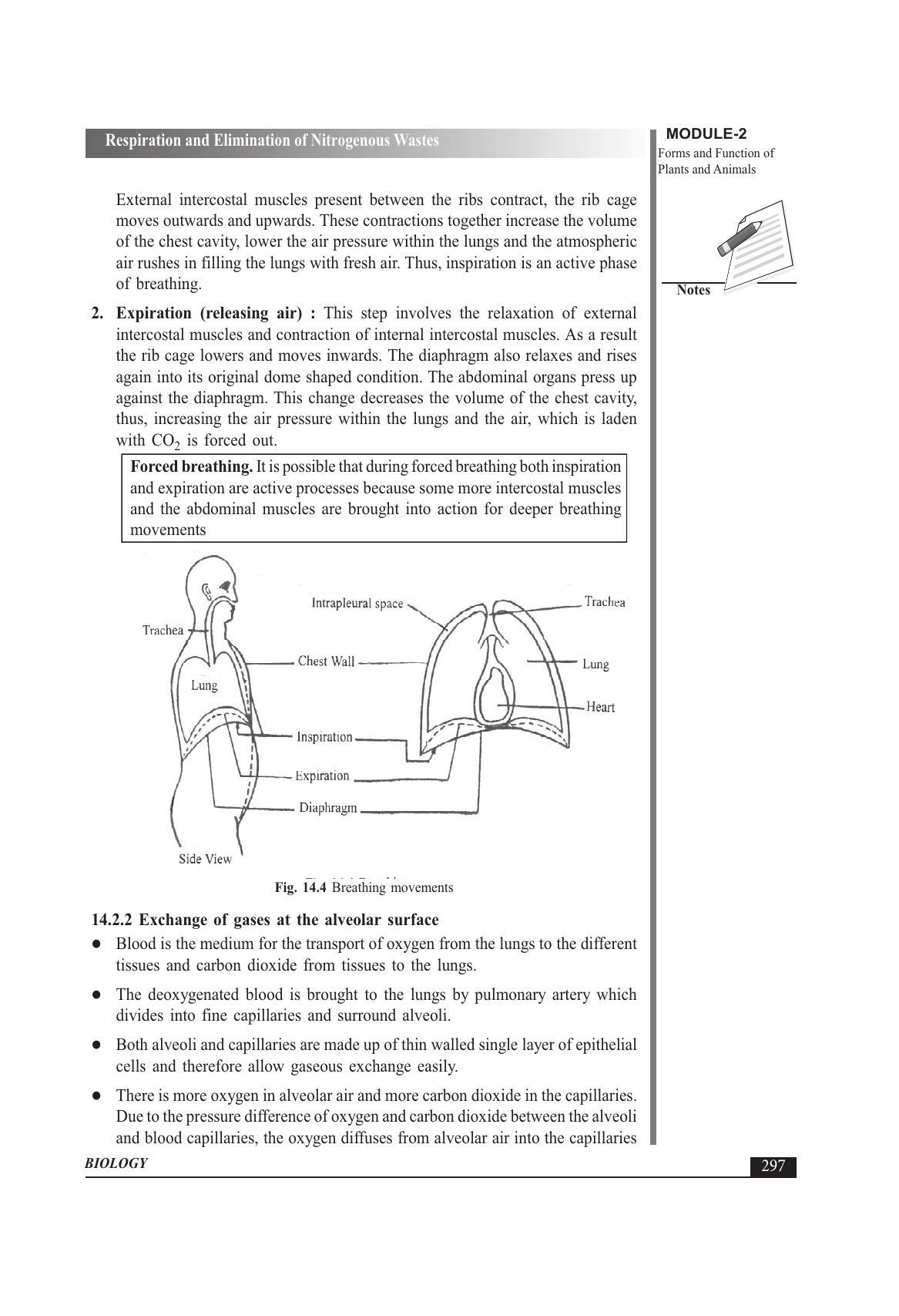 TS SCERT Inter 1st Year Biology Text Book Vol-I Path 1 (English Medium) Text Book - Page 391