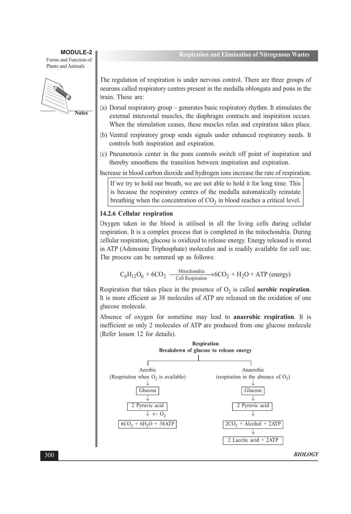 TS SCERT Inter 1st Year Biology Text Book Vol-I Path 1 (English Medium) Text Book - Page 394