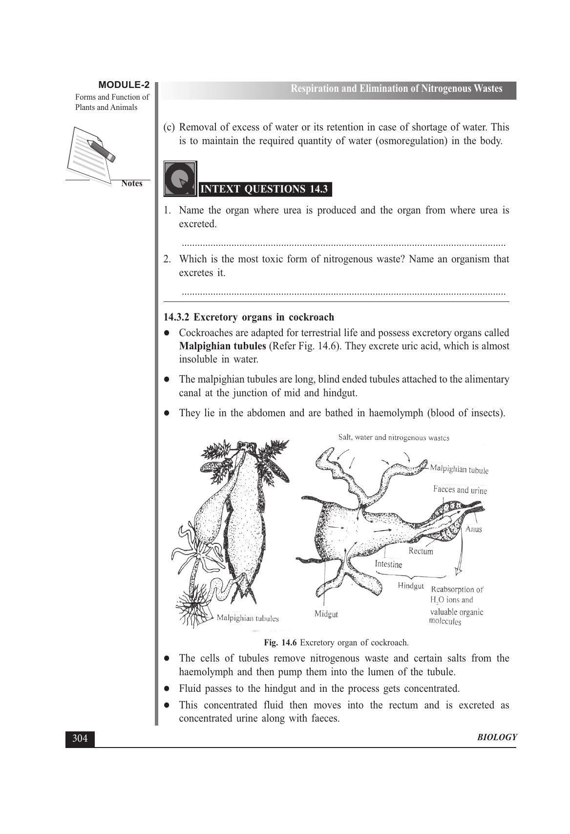TS SCERT Inter 1st Year Biology Text Book Vol-I Path 1 (English Medium) Text Book - Page 398