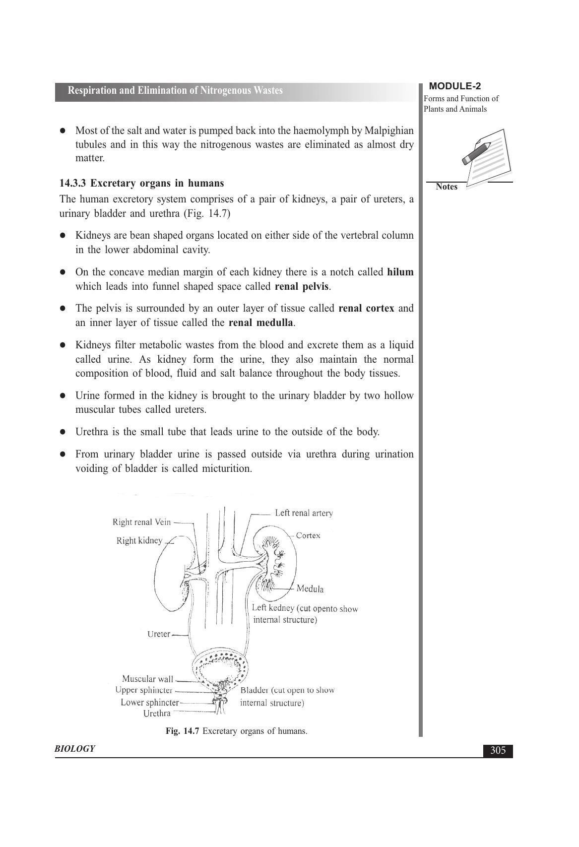 TS SCERT Inter 1st Year Biology Text Book Vol-I Path 1 (English Medium) Text Book - Page 399
