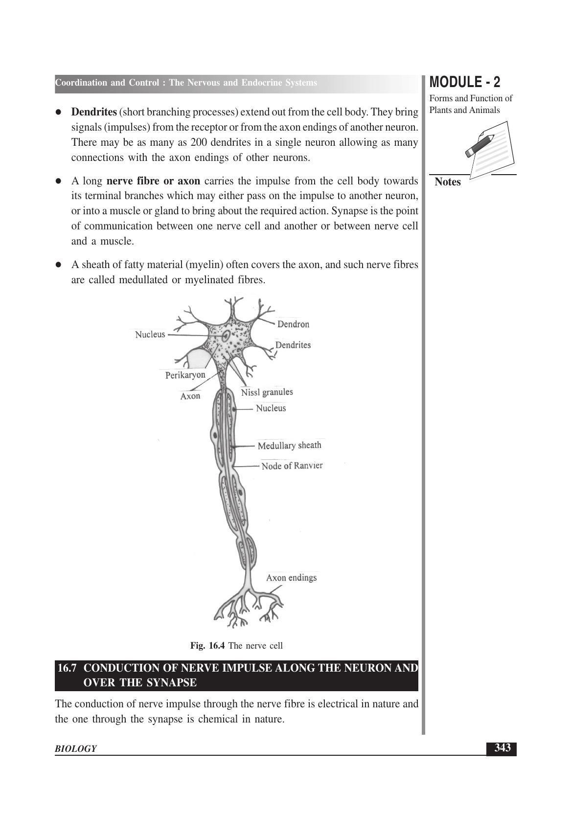 TS SCERT Inter 1st Year Biology Text Book Vol-I Path 1 (English Medium) Text Book - Page 437