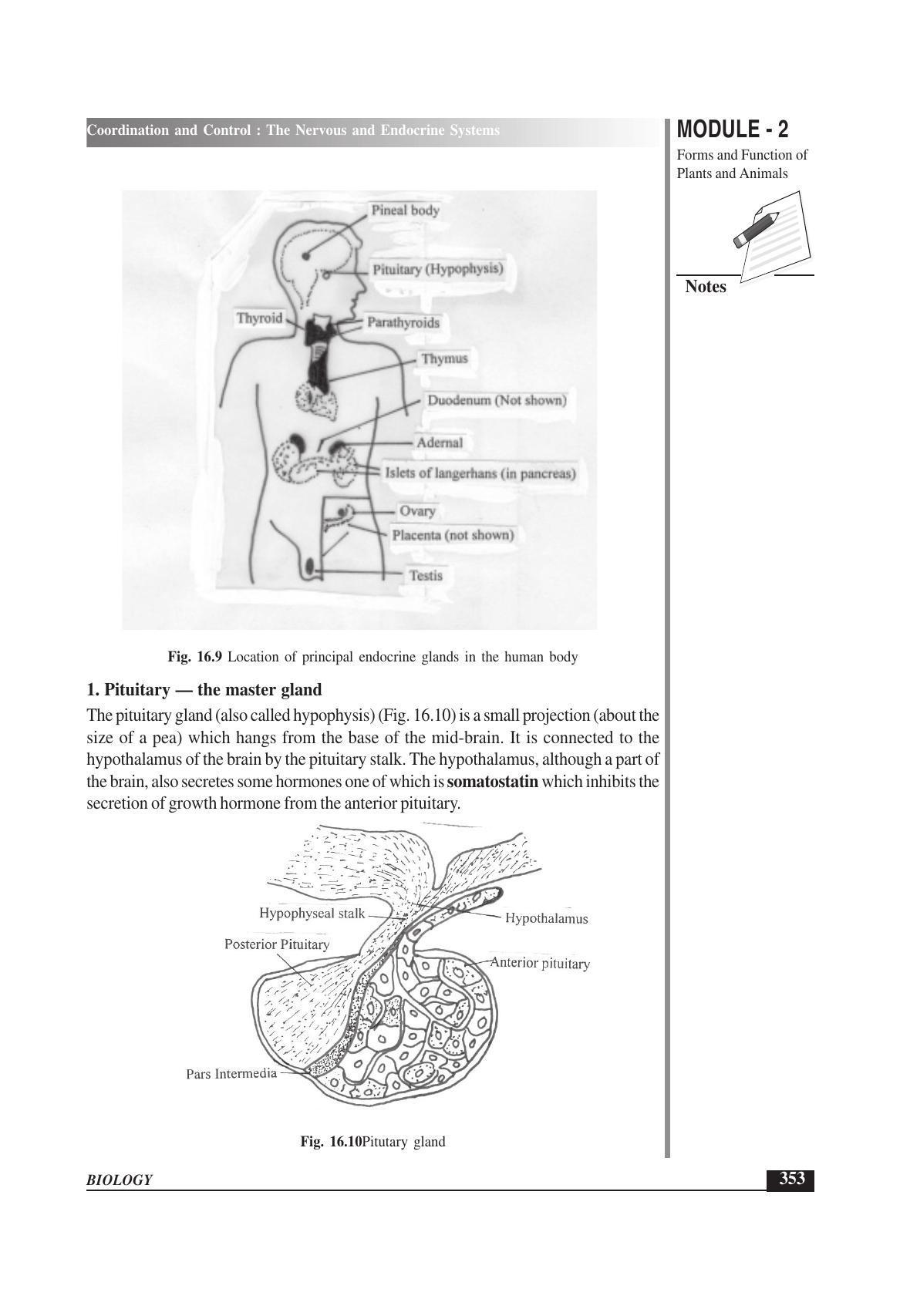 TS SCERT Inter 1st Year Biology Text Book Vol-I Path 1 (English Medium) Text Book - Page 447