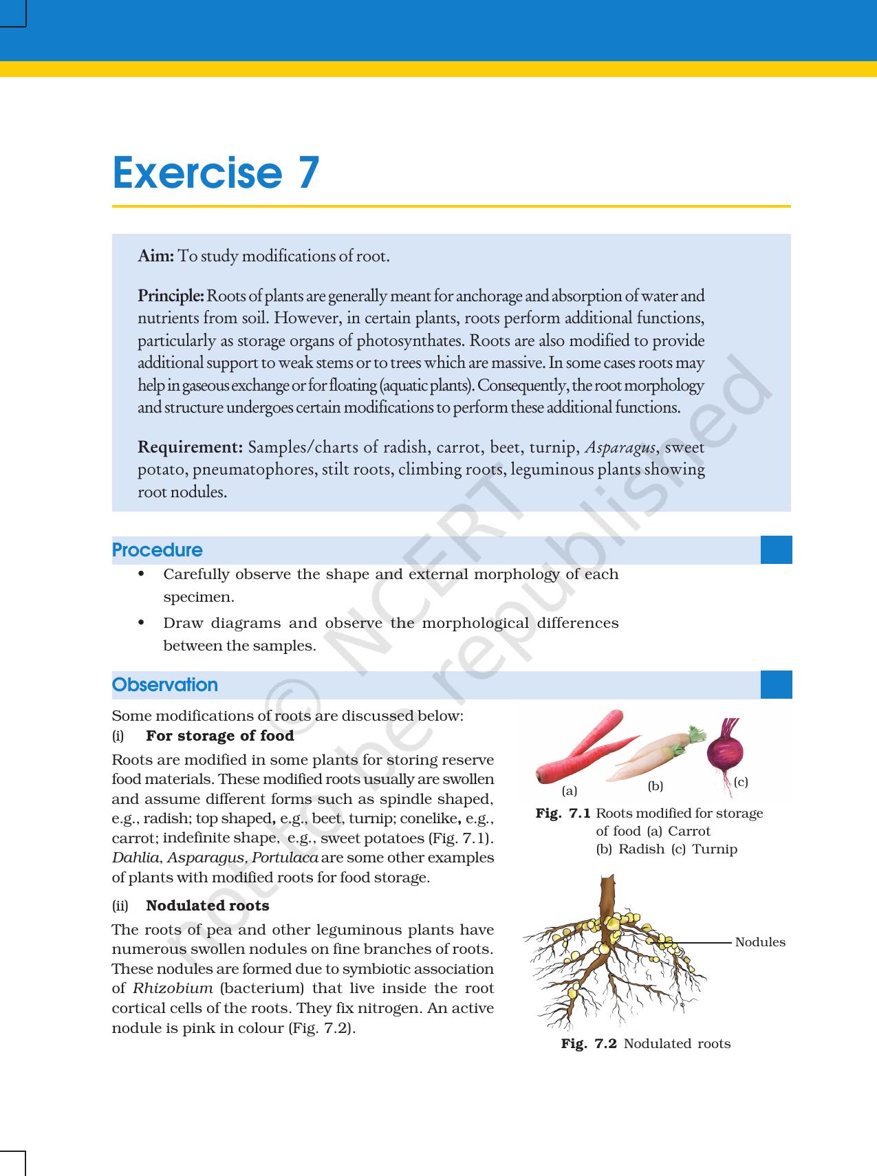 NCERT Laboratory Manuals for Class XI Biology - Exercise 7&8 - Page 1