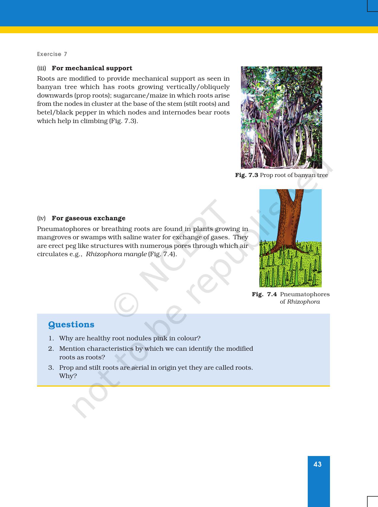 NCERT Laboratory Manuals for Class XI Biology - Exercise 7&8 - Page 2
