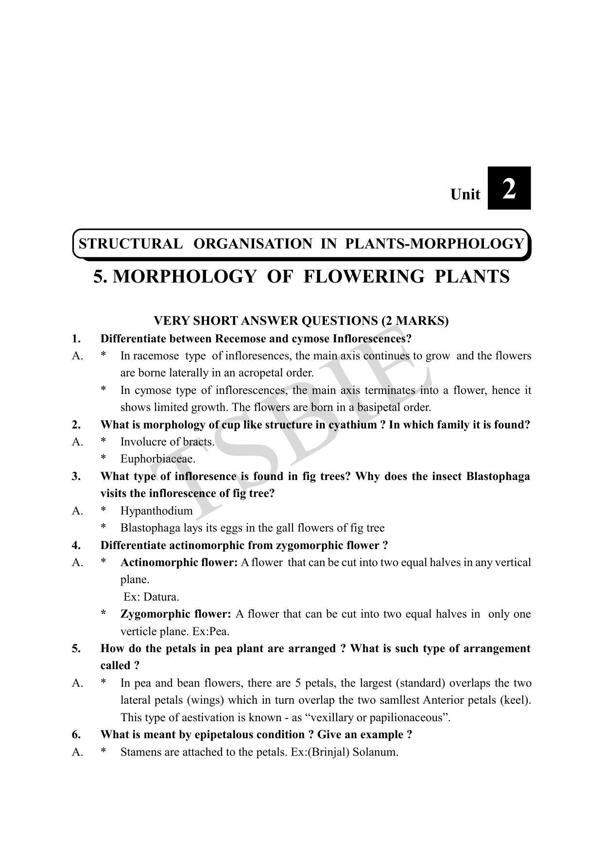TS SCERT Inter 1st Year Botany Path 1 (Telugu Medium) Text Book - Page 19