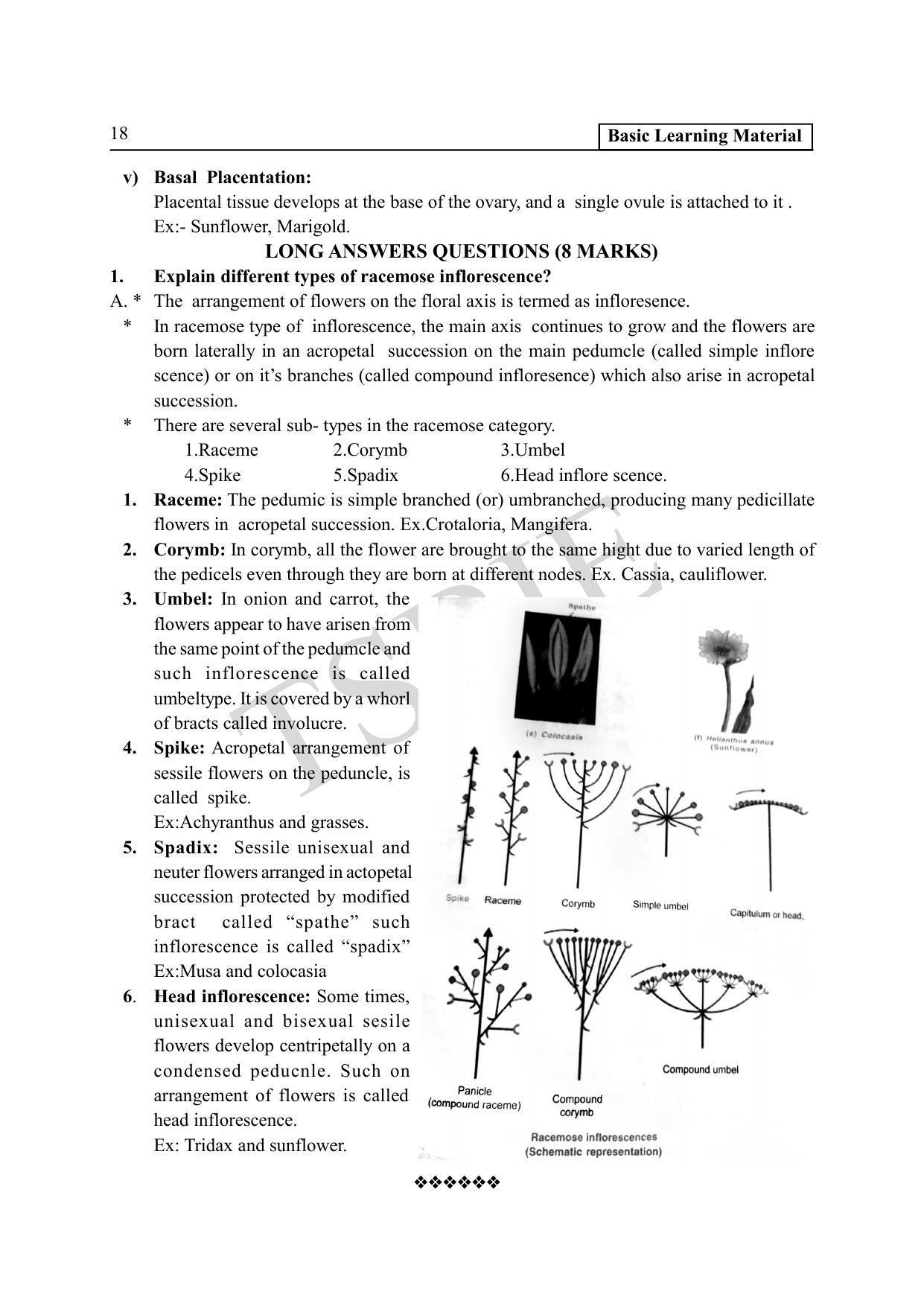 TS SCERT Inter 1st Year Botany Path 1 (Telugu Medium) Text Book - Page 23