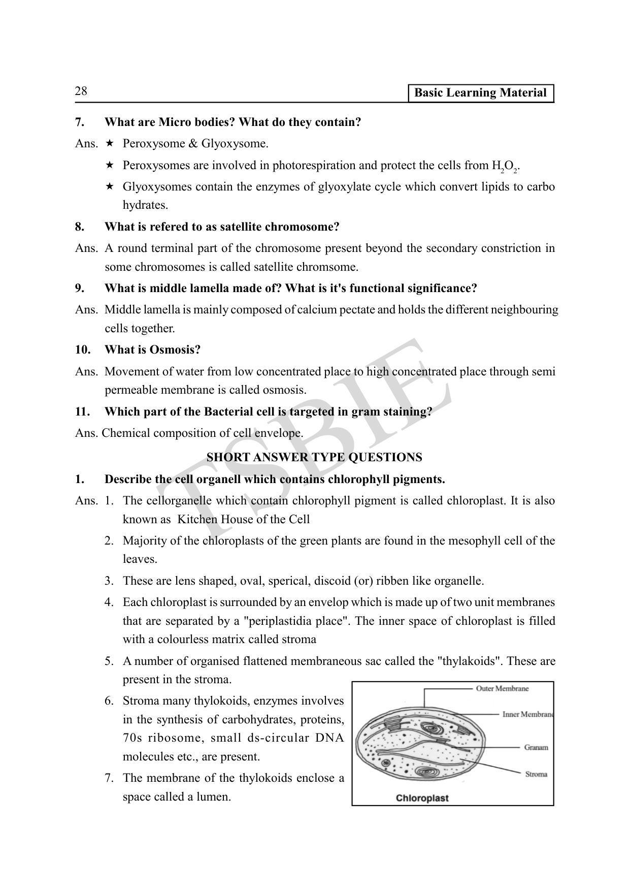 TS SCERT Inter 1st Year Botany Path 1 (Telugu Medium) Text Book - Page 33