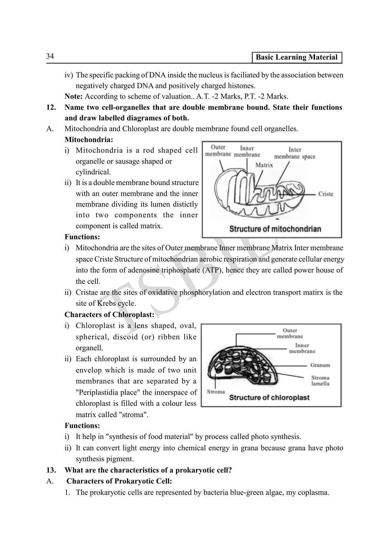 TS SCERT Inter 1st Year Botany Path 1 (Telugu Medium) Text Book - Page 39