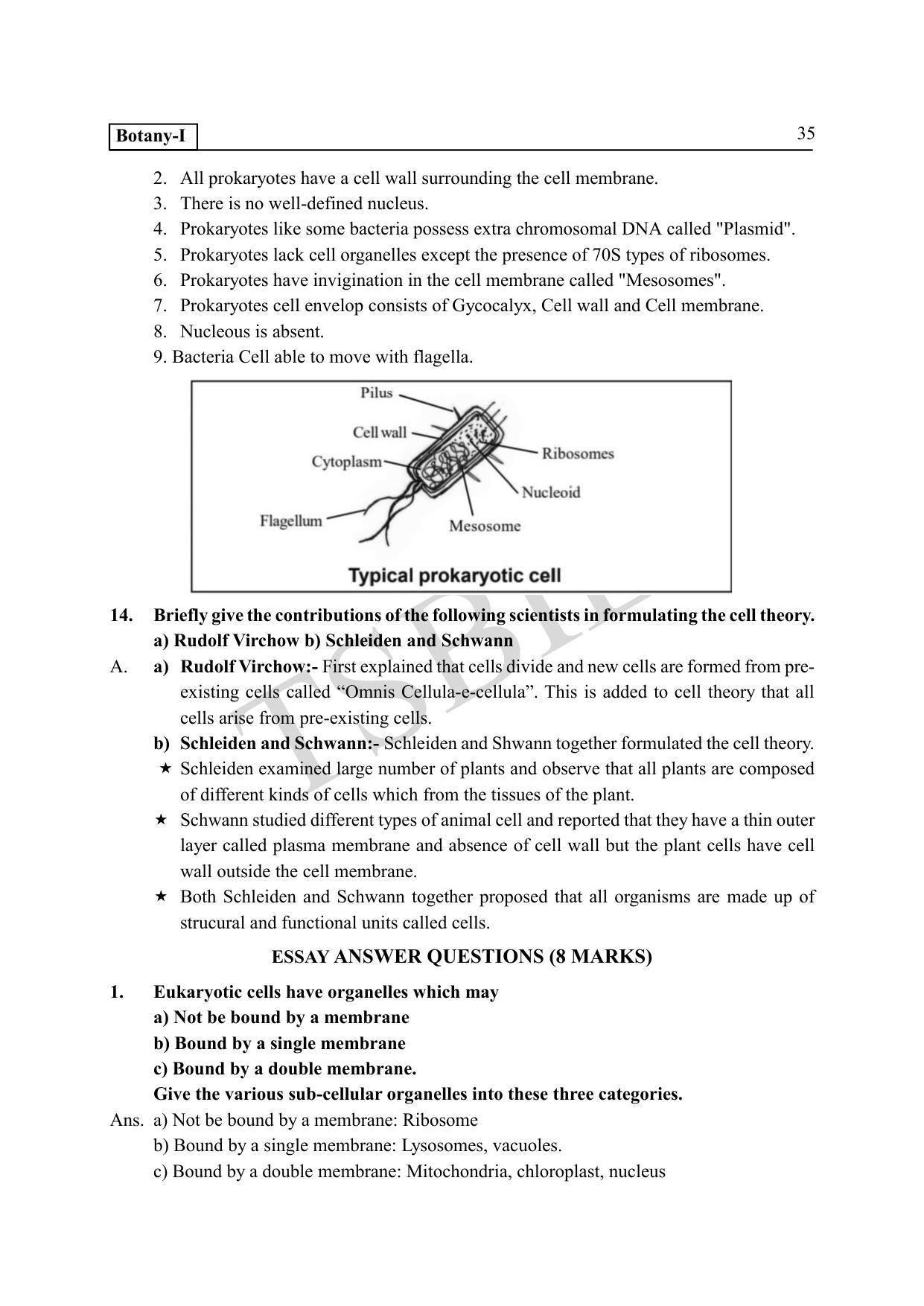 TS SCERT Inter 1st Year Botany Path 1 (Telugu Medium) Text Book - Page 40