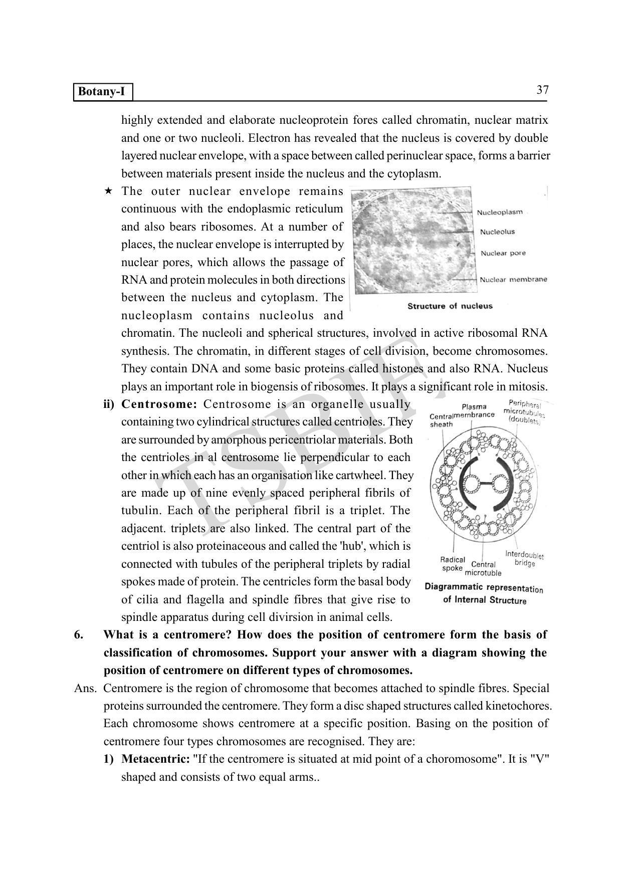 TS SCERT Inter 1st Year Botany Path 1 (Telugu Medium) Text Book - Page 42