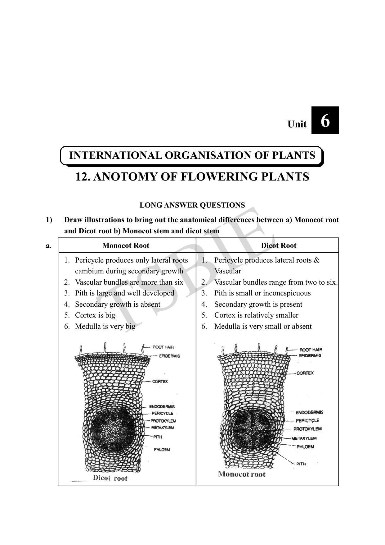 TS SCERT Inter 1st Year Botany Path 1 (Telugu Medium) Text Book - Page 52