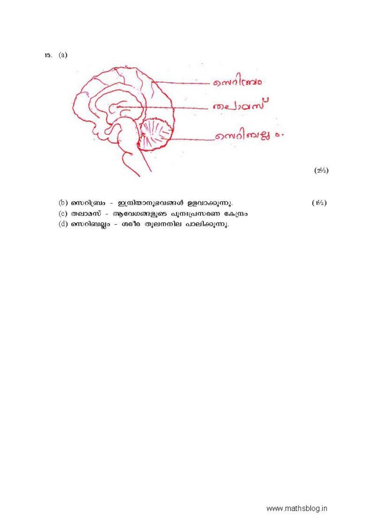 Kerala SSLC 2017 Biology Answer key (MM) (Model) - Page 3