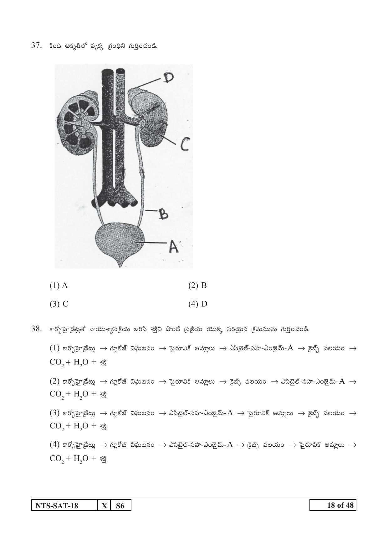 Maharashtra NTSE 2019 SAT (Telugu) Question Paper - Page 18