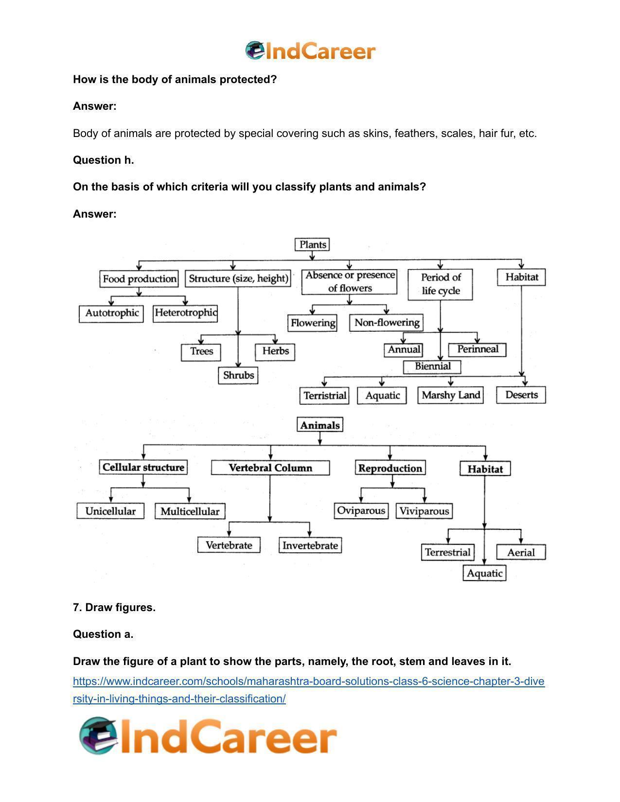 Maharashtra Board Solutions Class 6-Science: Chapter 3- Diversity in Living Things and their Classification - Page 10