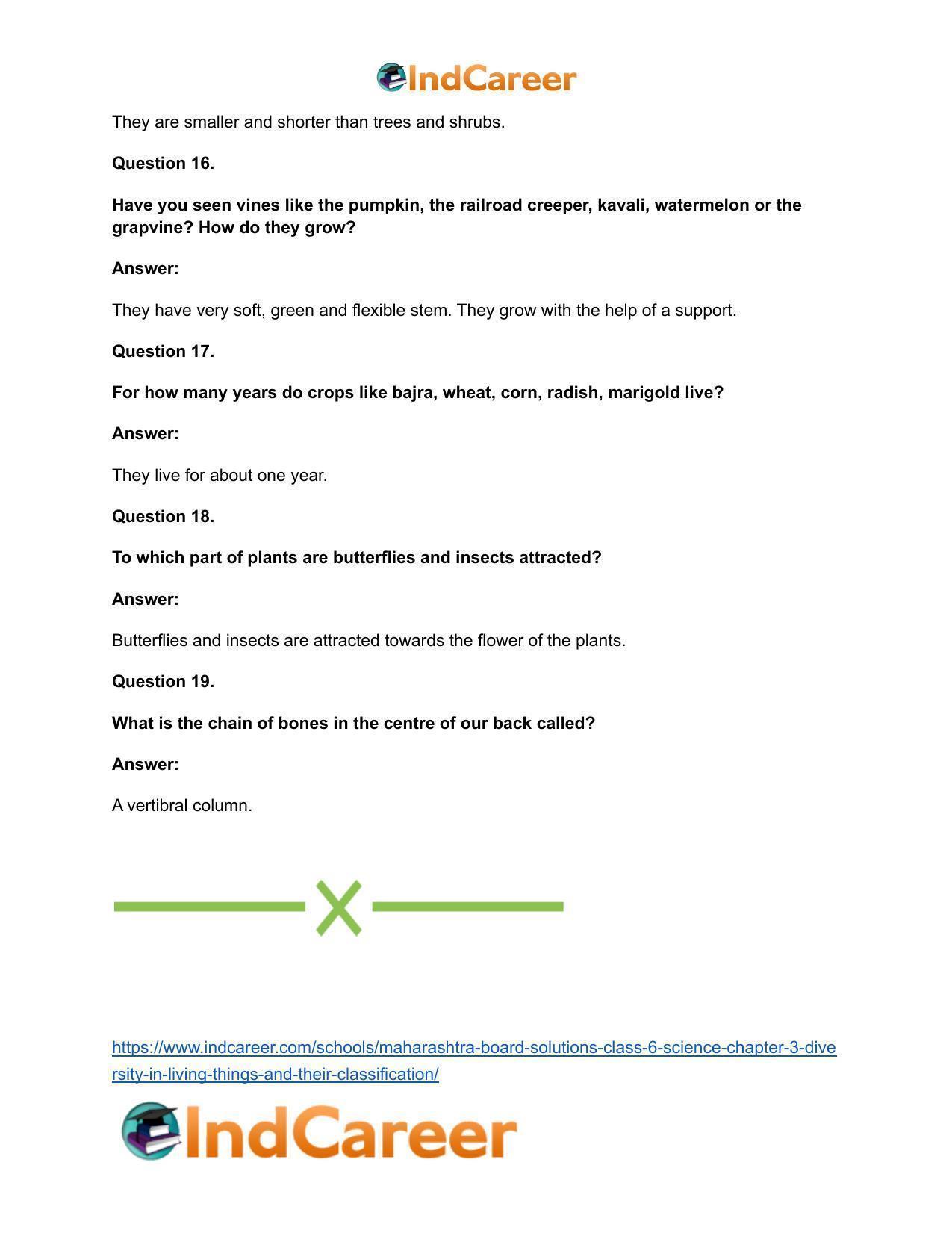 Maharashtra Board Solutions Class 6-Science: Chapter 3- Diversity in Living Things and their Classification - Page 22