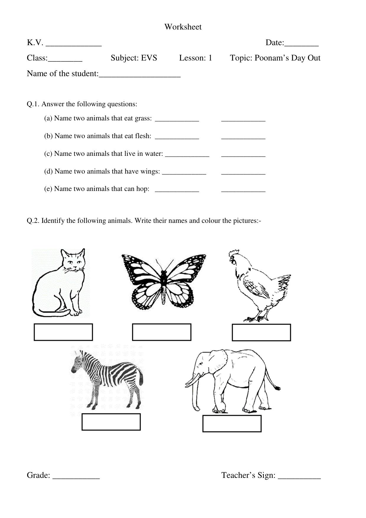 Worksheet for Class 3 EVS Assignment 82 Poonam’s Day Out - Page 1
