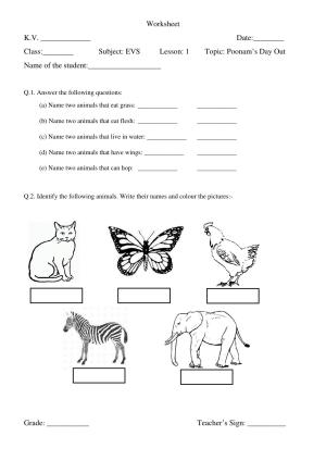 Worksheet for Class 3 EVS Assignment 82 Poonam’s Day Out