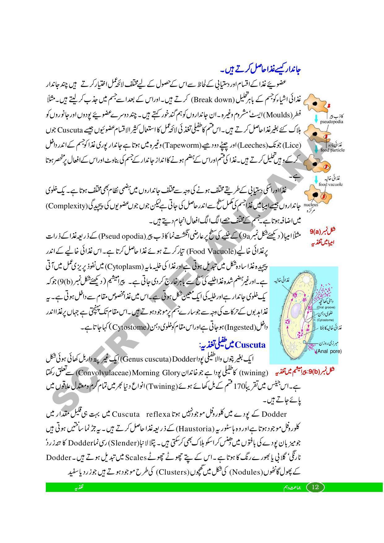 TS SCERT Class 10 Biological Science (Urdu Medium) Text Book - Page 24