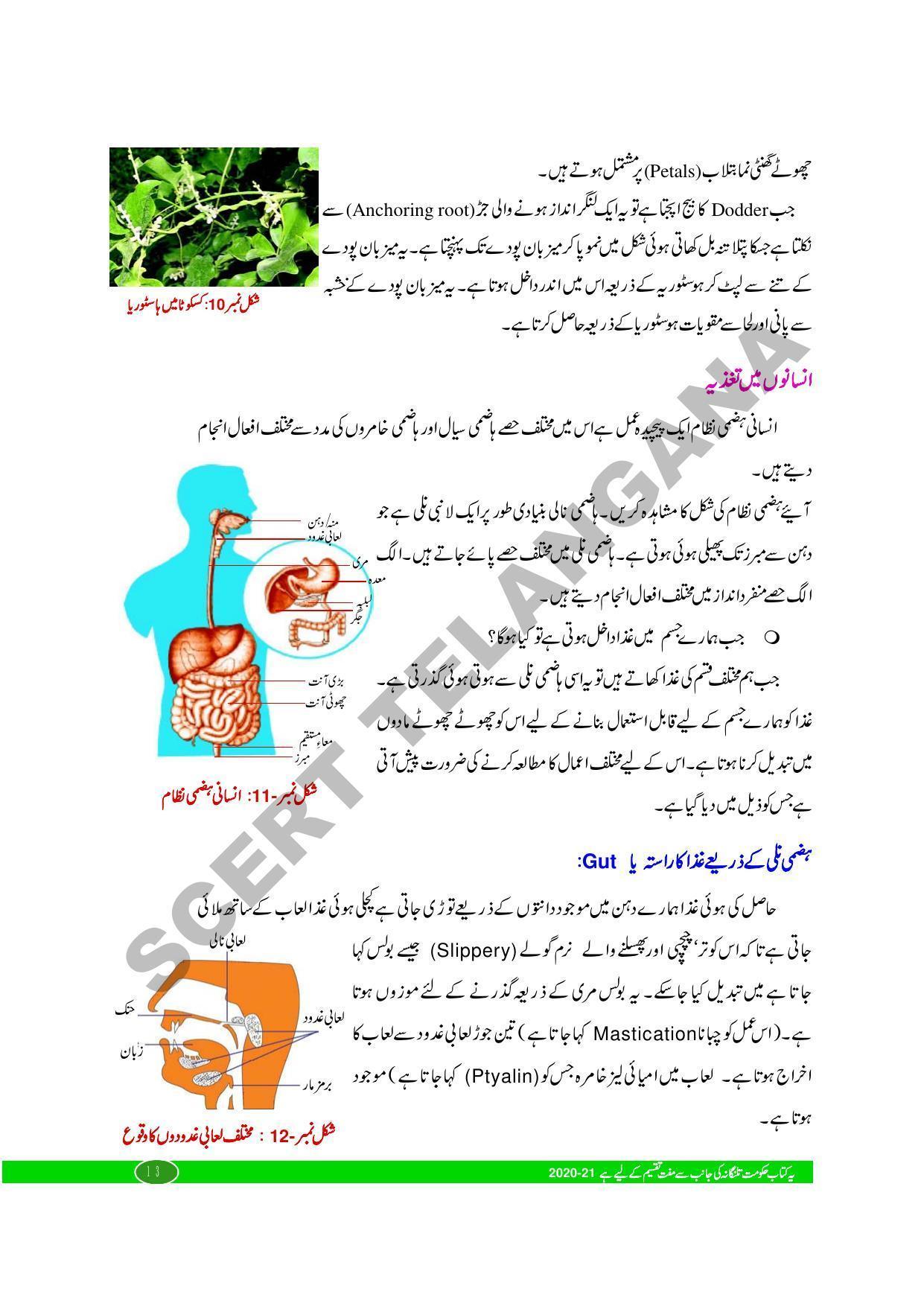 TS SCERT Class 10 Biological Science (Urdu Medium) Text Book - Page 25